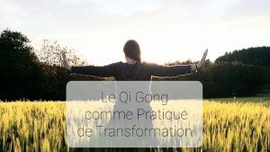 LE QI GONG COMME PRATIQUE DE TRANSFORMATIONPROCHAINEMENT